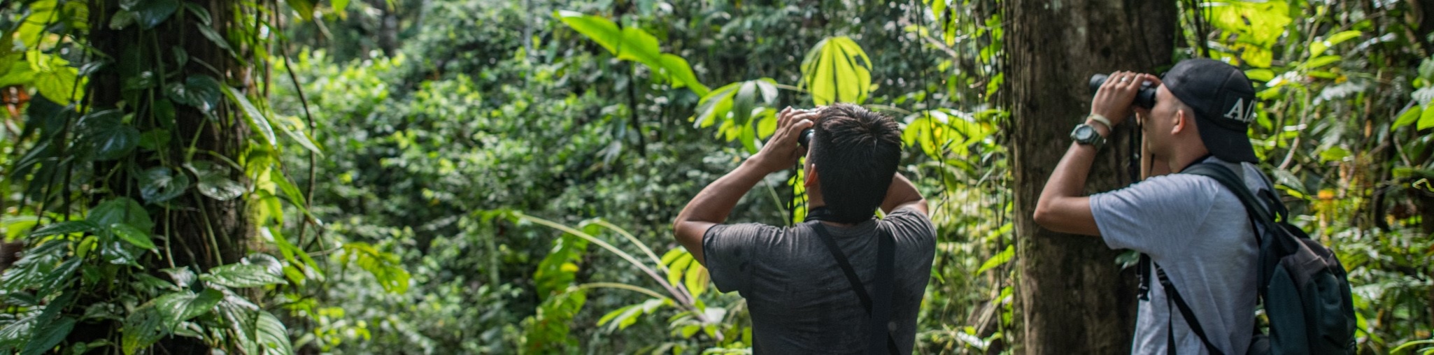 Researchers in Ecuador forest