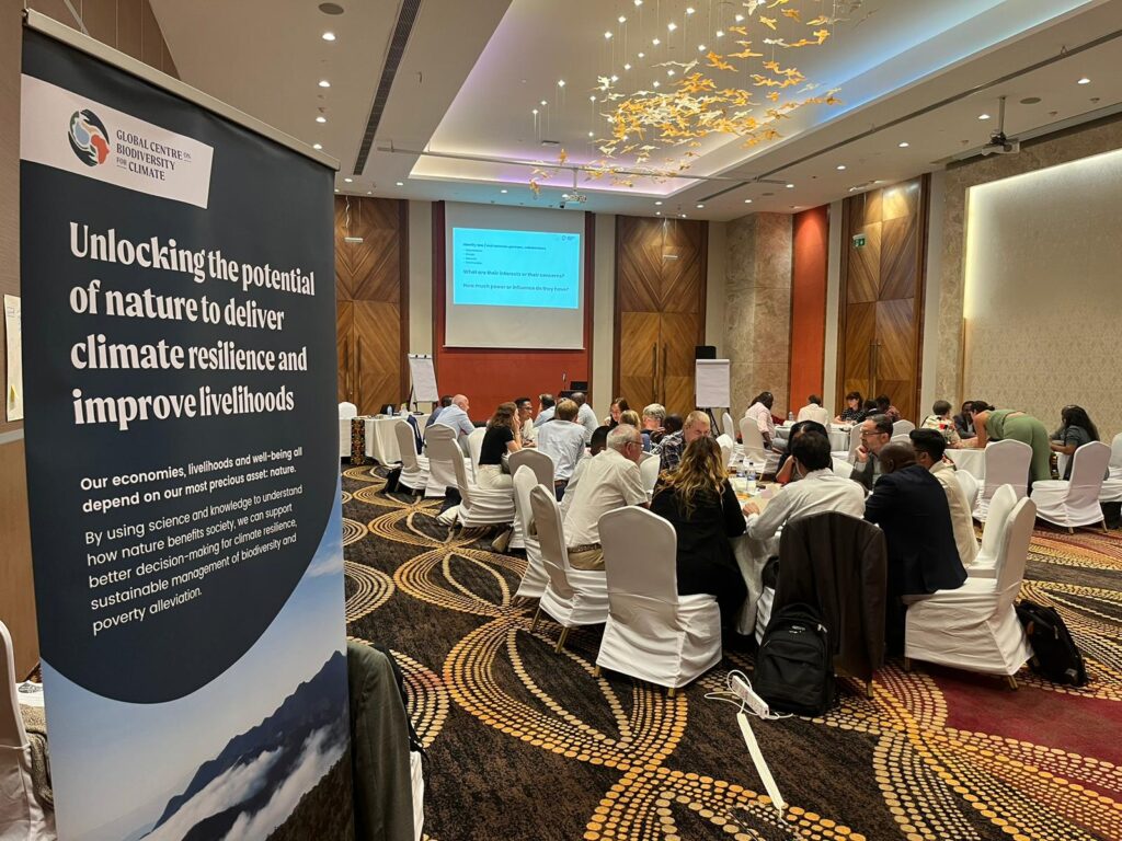 Establishing shot of attendees at the Kenya Symposium