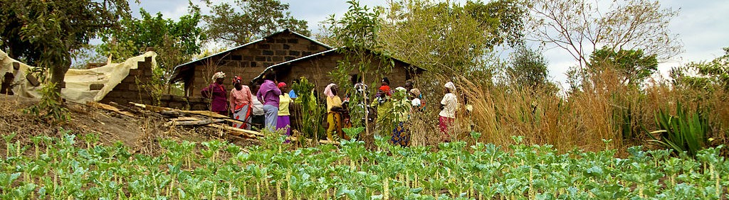 Farming in Kenya