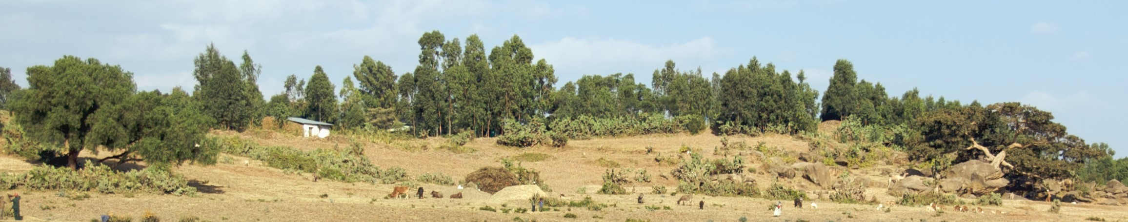 Ethiopia Landscape