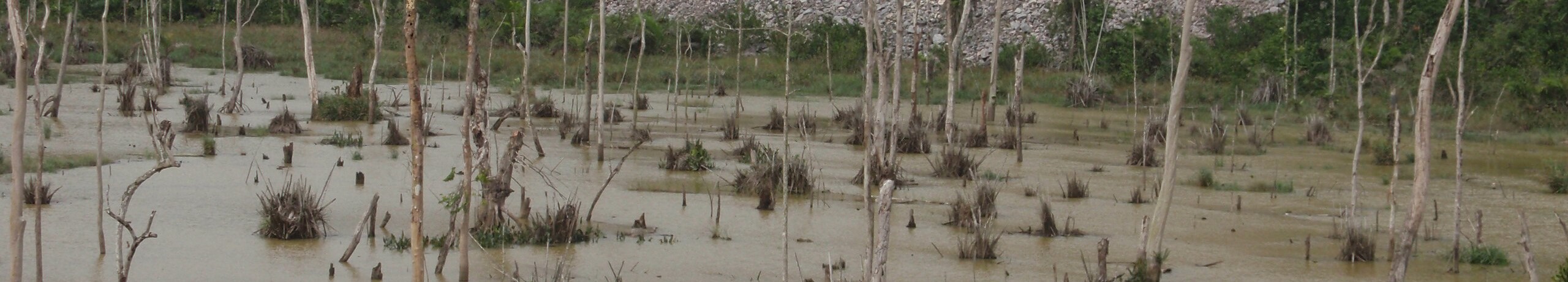 Wetlands, Ghana