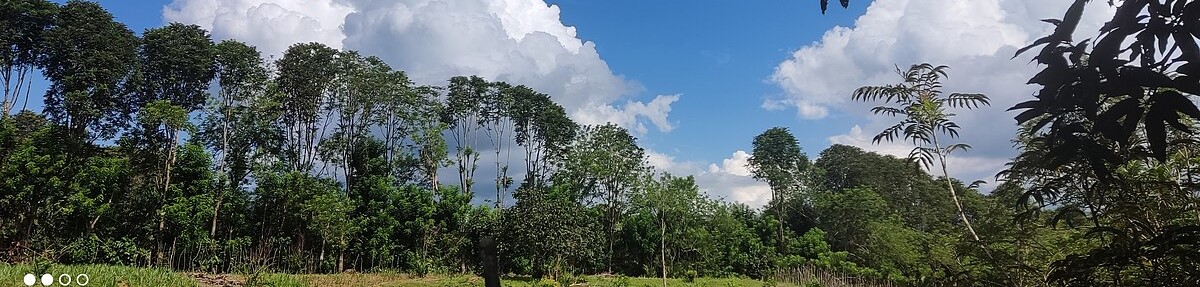 Kalimantan, Borneo