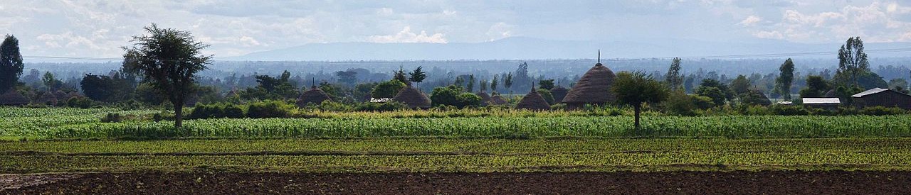 Land Farms, Ethiopia