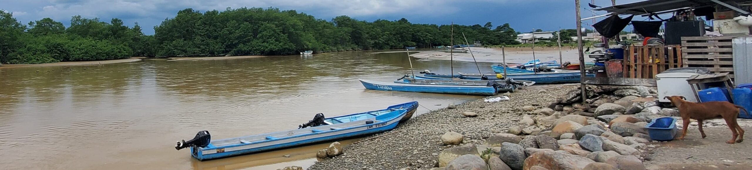 Fisher boats