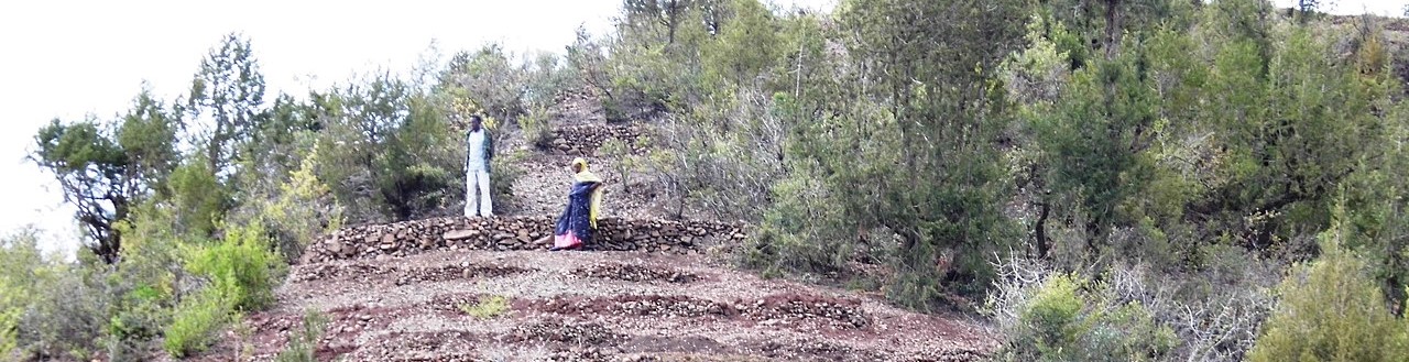 Soil Restoration in Ethiopia